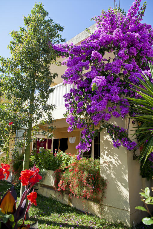 Apartments Angela Budva Exteriör bild